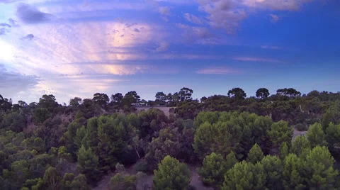 A beautiful camera move over trees at twilight Video stock 58362051