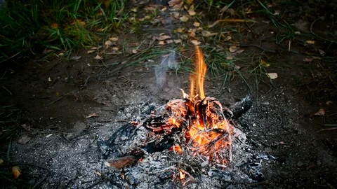 Beautiful campfire in the dark. Located on the right side of the frame. 動画素材 101452463