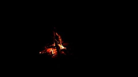 Beautiful campfire in the dark. Total darkness. 動画素材 101451604