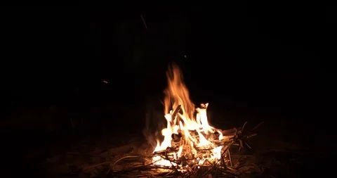 Beautiful campfire in the evening at lake. Fire burning in dusk at campsite near 動画素材 102627807