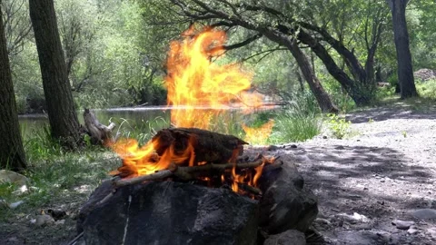A beautiful campfire in the forest Stock-Footage 156321422