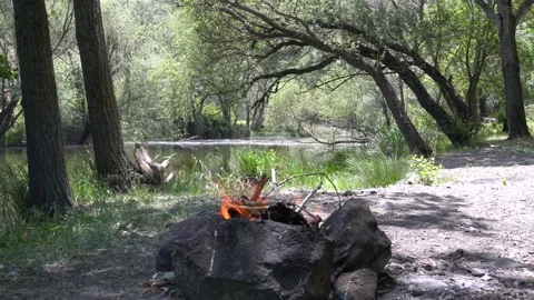A beautiful campfire in the forest Stock Footage 156322724
