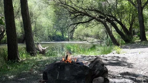 A beautiful campfire in the forest Stock Footage 156327458