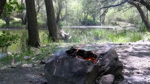 A beautiful campfire in the forest Stock Footage 156327525