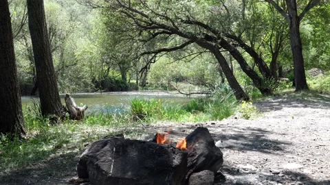 A beautiful campfire in the forest Stock Footage 156327795