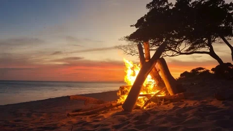 Beautiful campfire with the sunset in the background on a summer day at Playa Stock Footage 341899717