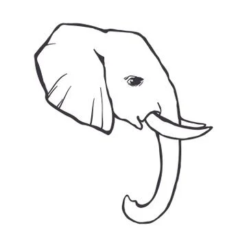 Beautiful card vector Illustrazione stock