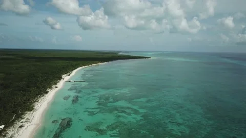 Beautiful Caribbean Beach Stock Footage