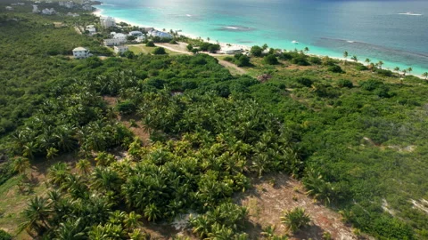 A beautiful Caribbean Beach Stock Footage 219347422