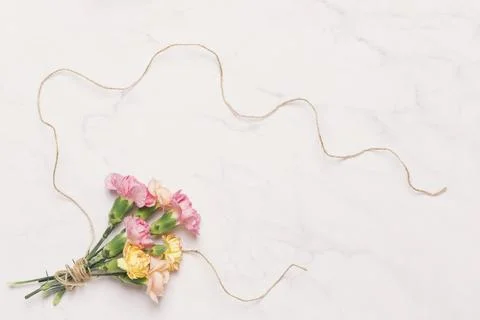 Beautiful carnations linen thread white Stock Photos