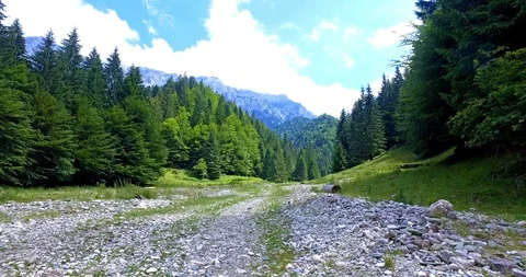 Beautiful Carpathian mountain Video stock 101461880