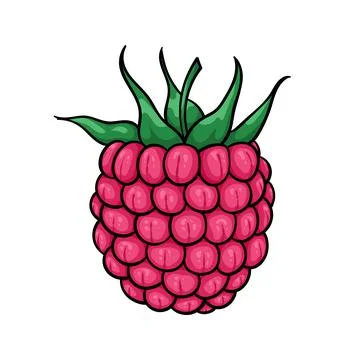 Beautiful cartoon pink raspberry with black contour, symbol of summer. design Stock Illustration