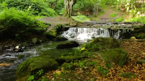 Beautiful cascade comes out of a forest river Stock Footage 41066897