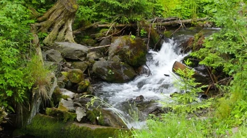 Beautiful cascade comes out of a forest river Stock Footage 41068953