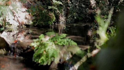 Beautiful cascade 動画素材 93811641