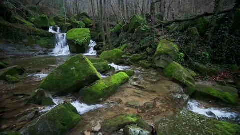 Beautiful cascade in the forest Stock Footage 200233669