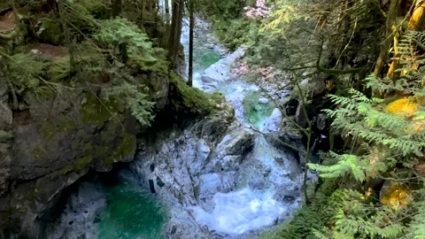 Beautiful Cascade Mountain River in the Red Wood Forest Stock Footage 141017549