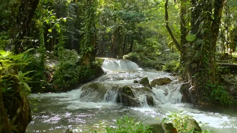Beautiful cascade with stream flowing over the rocks through green woodland. Stock Footage 196852165