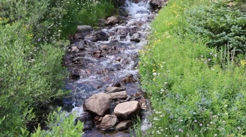 Beautiful Cascading Mountain Stream - Panning Up Stock Footage 40946973