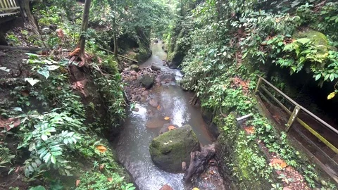 Beautiful cascading waterfall Stock Footage 106558112