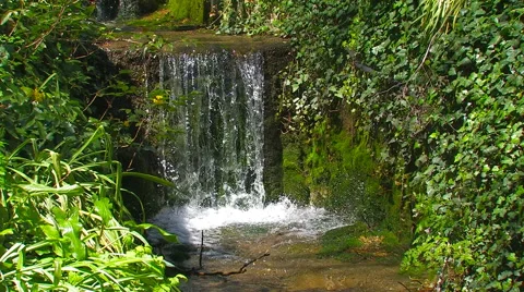 Beautiful Cascading Waterfall in the Park Stock Footage 61234434