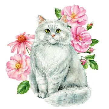 Beautiful cat and branches with spring flowers of roses, isolated white Stock Illustration
