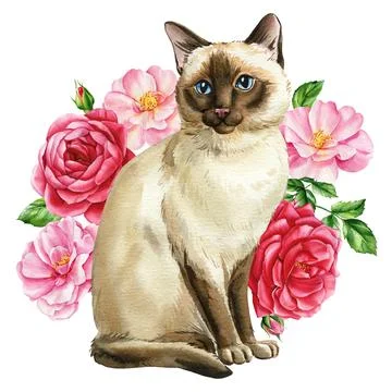 Beautiful cat and branches with spring flowers of roses, isolated white Stock Illustration