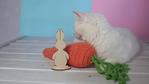 A beautiful cat on a colored background with with Easter decorations Видео 151084612