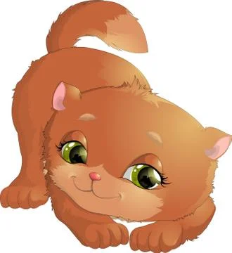 Beautiful cat on a white background 스톡 일러스트