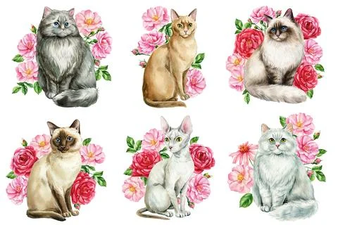 Beautiful cats set, branches with spring pink flowers of roses isolated white Stock Illustration