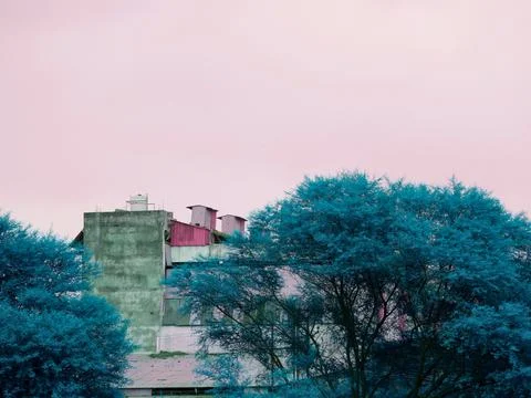 Beautiful cemented house view between turquoise color tree at light color sky 스톡 사진