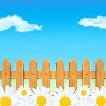 Beautiful chamomiles Stock Illustration