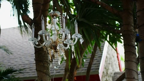 Beautiful chandelier and Coconut Grove Stock Footage