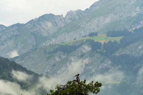 Beautiful Chatel mountain landscape in summer Stock Photos