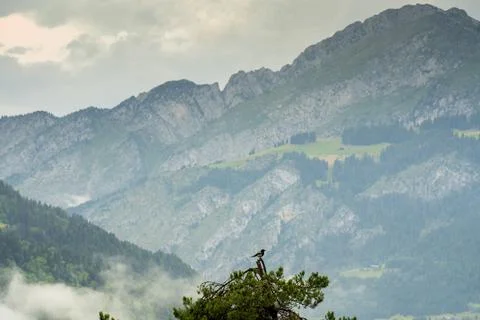 Beautiful Chatel mountain landscape in summer Stock Photos