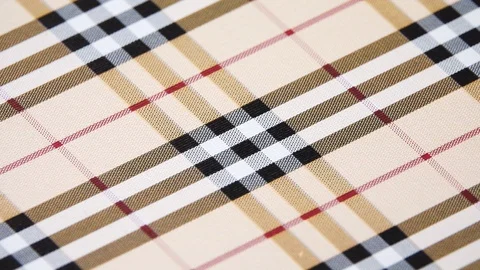 Beautiful checkered tablecloth rotates in a circle. Stock Footage 129374708