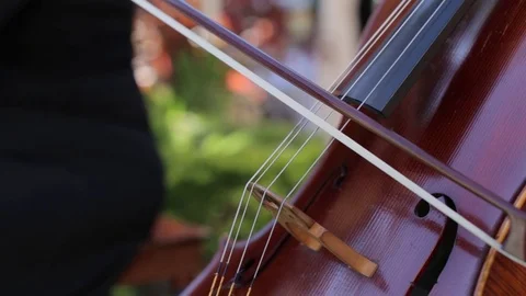 Beautiful Chelo Playing at Wedding Event Stock Footage 76484104