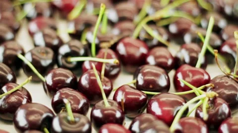Beautiful Cherries HD Stock Footage 8510582