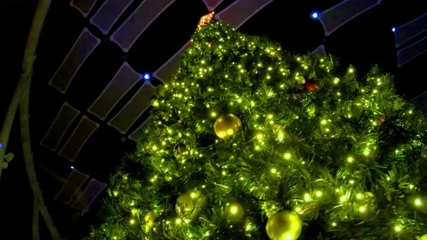 Beautiful Christmas Tree decked out with all the lights and ornaments, Stock Footage 100054037
