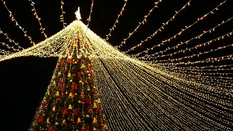 Beautiful Christmas tree decorated with many garlands outdoors Stock Footage 122297019