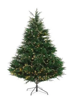 Beautiful Christmas tree with string lights isolated on white Stock Photos
