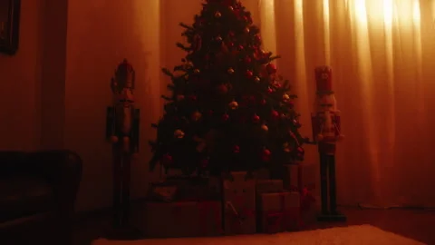 Beautiful Christmas tree at warm light Stock Footage 222794234