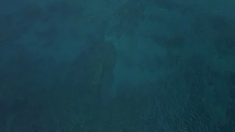 A Beautiful Clean Ocean Stock Footage 275612455