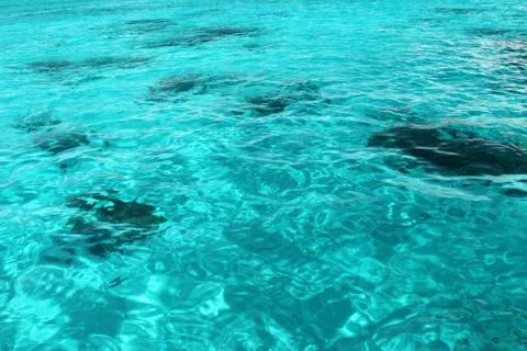 Beautiful clean ocean Stock Photos