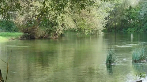 Beautiful clean river before the fall 스톡 동영상 42125656