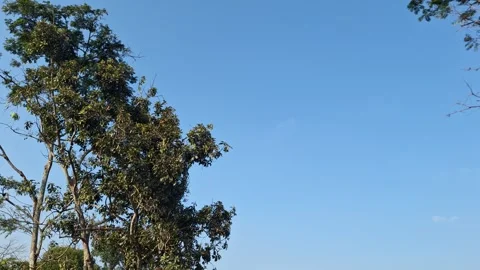 Beautiful clear blue sky above lush green landscape Stock Footage 337050196
