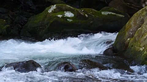 Beautiful clear flowing Mountain Stream flowing through rocks Stock-Footage 104880075
