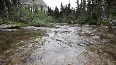 Beautiful, clear mountain stream Video stock 41454615