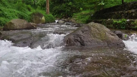 Beautiful clear river flow with fresh water moving gently over natural stones Stock-Footage 331694194