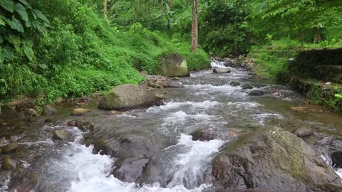 Beautiful clear river flow with fresh water moving gently over natural stones Stock-Footage 331694201